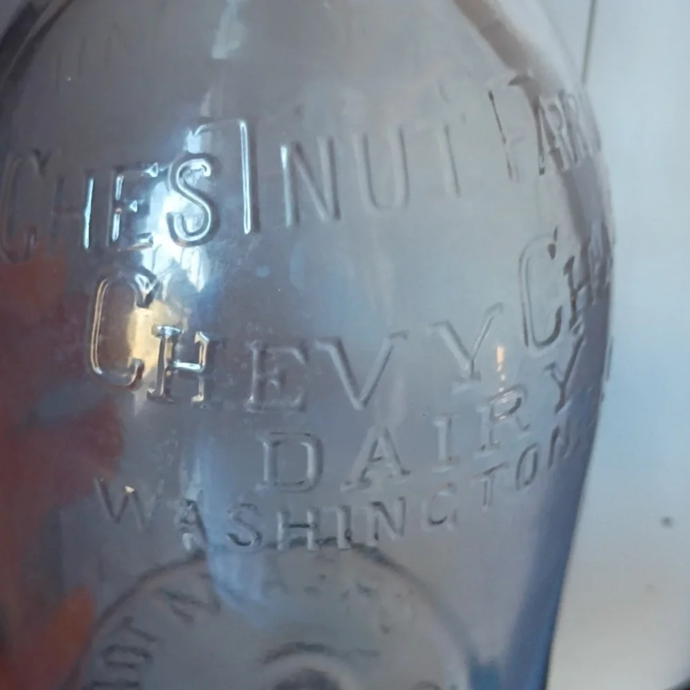 Clear Glass Bottle Vase - Vintage Style Milk Bottle.